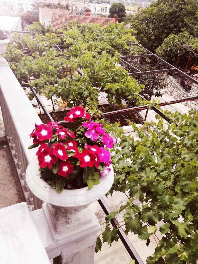 Nemanja Apartment Trebinje Bagian luar foto