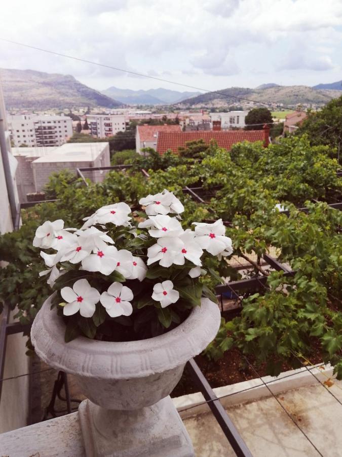 Nemanja Apartment Trebinje Bagian luar foto